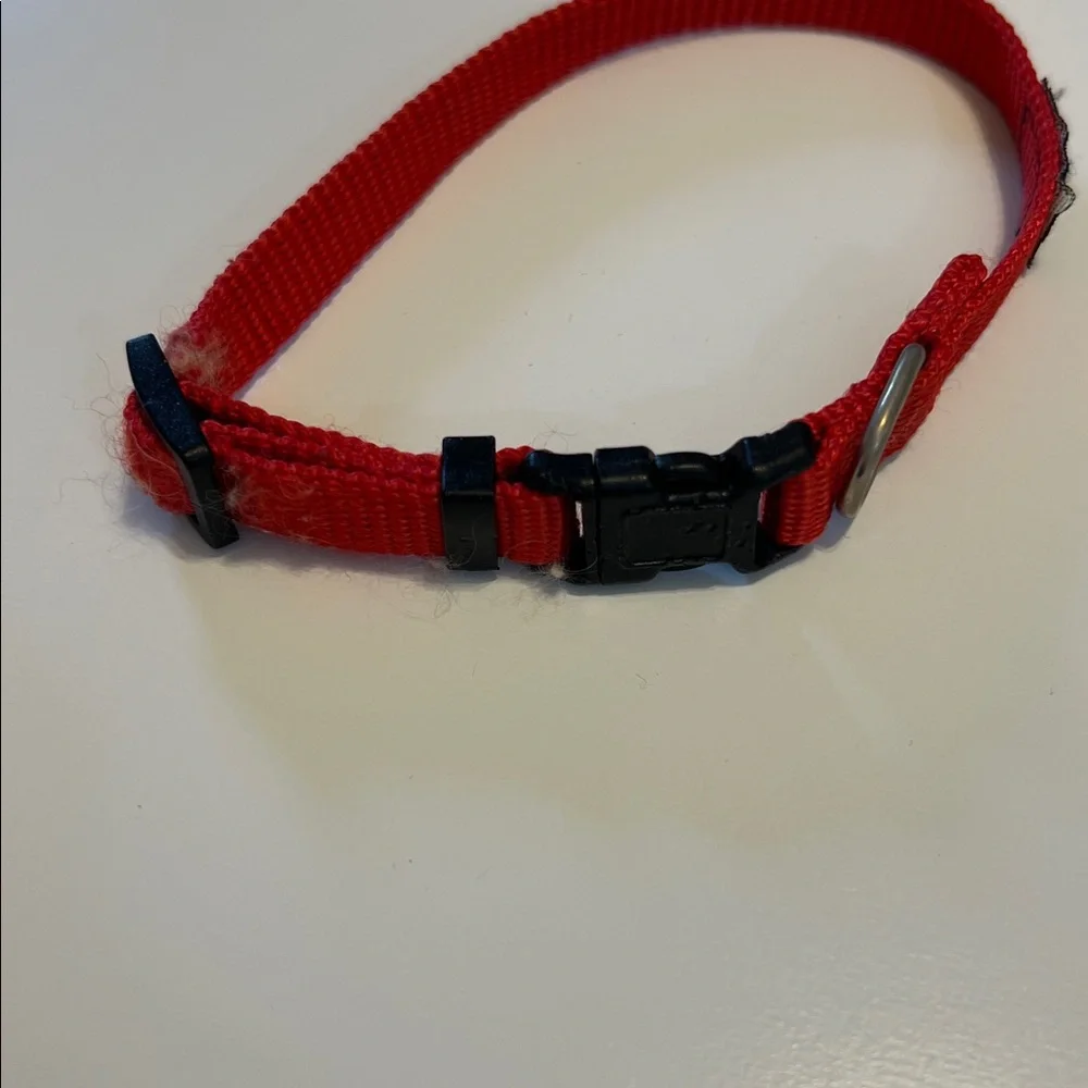 Red Puptech Dog Collar